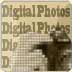 Go to Digital Photography Page