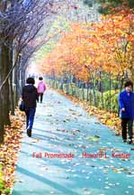 Fall Promenade