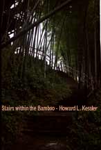 Stairs within the Bamboo